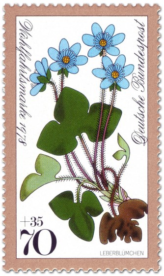 Briefmarke: Leberblümchen (Waldblume)