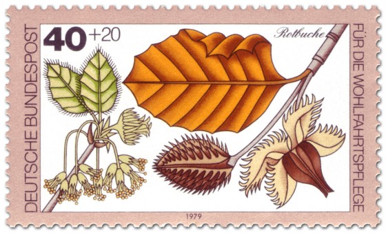 Briefmarke: Rotbuche Blatt und Frucht