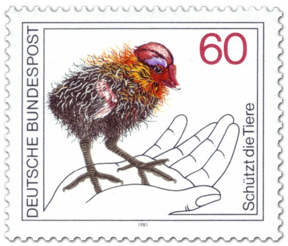 Briefmarke: Blässhuhn Küken auf einer Hand (Naturschutz)