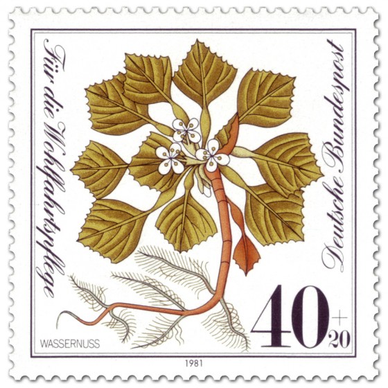 Briefmarke: Wassernuss (Pflanze)