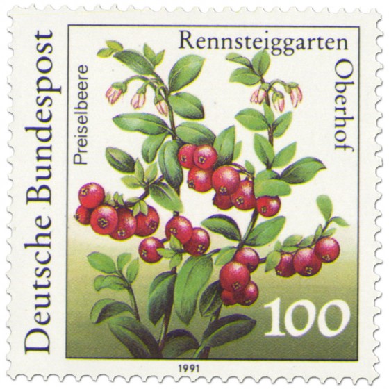 Briefmarke: Preiselbeeren (Vaccinium vitis-idaea)